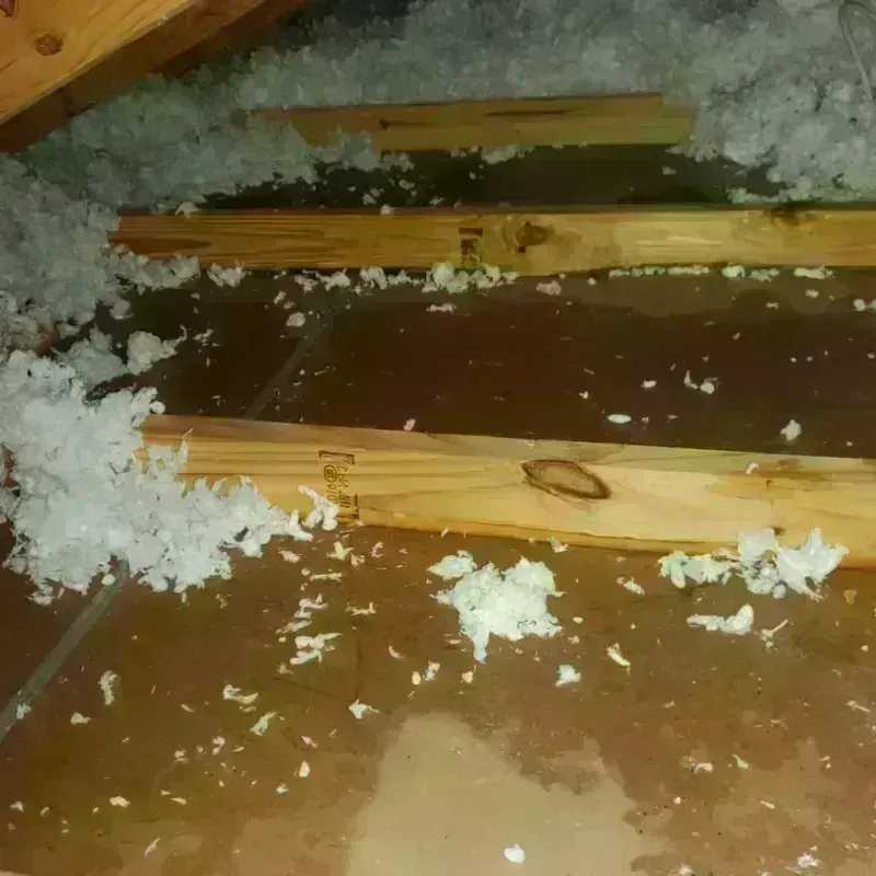 Attic Water Damage in Homerville, GA